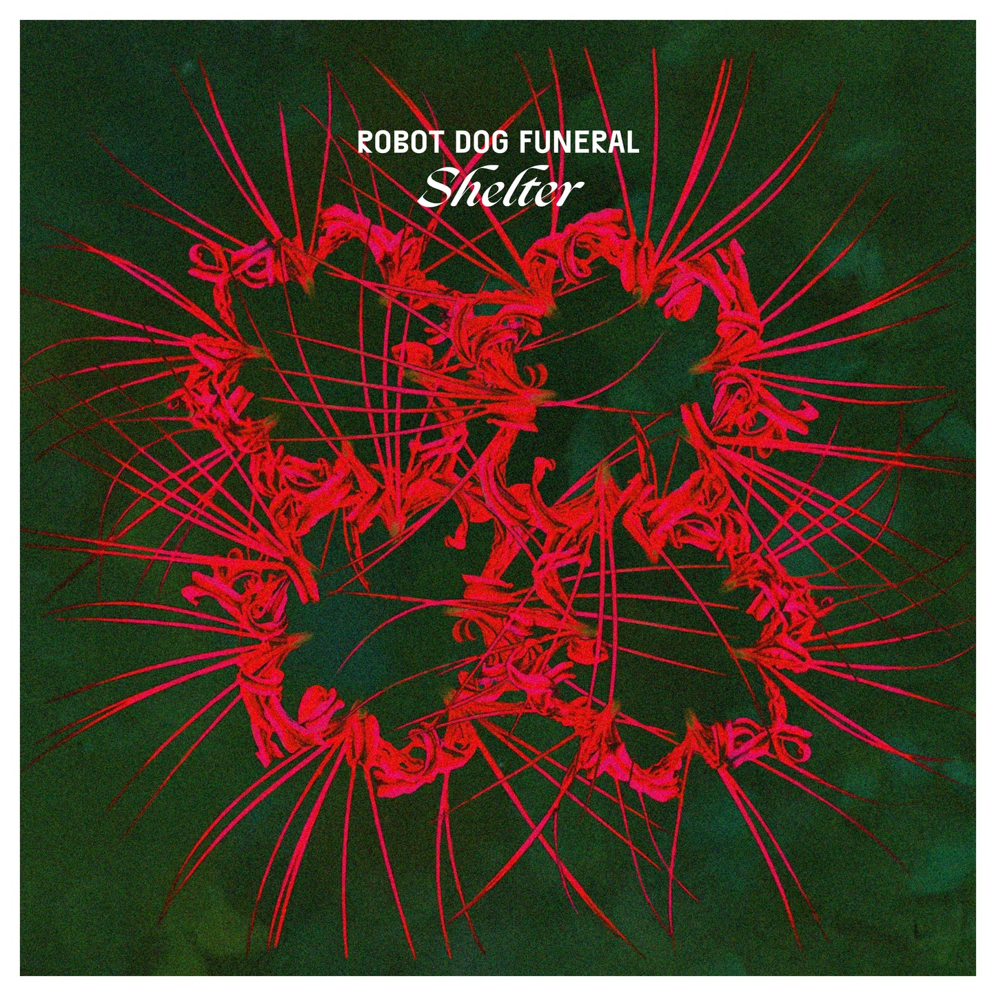 Shelter - Vinyl