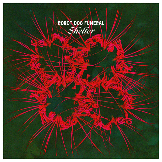Shelter - Vinyl