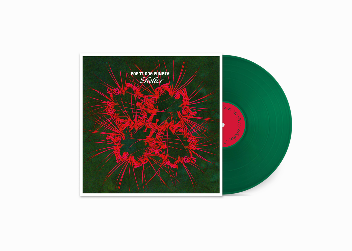 Shelter - Vinyl