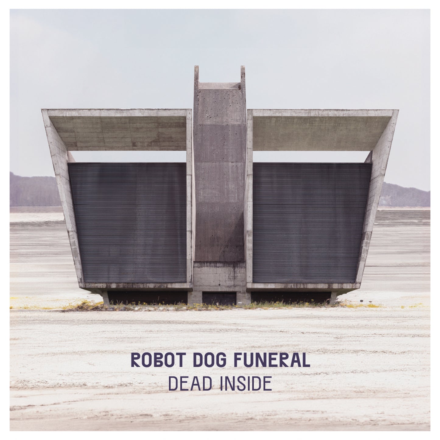 Dead Inside - Vinyl